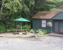 Cijela kuća/apartman Deer Crossing, A Beautiful Loon Lake Family Cabin In The Adirondack Mountains (Chestertown, Sjedinjene Američke Države)