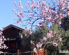 Casa/apartamento entero Casa Rural La Colina Mandarina (Laroya, España)