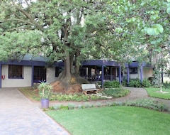 Khách sạn Big Tree (Glen Austin, Nam Phi)