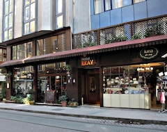 Hotelli Ilkay (Istanbul, Turkki)