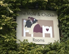 Pansion The Mole and Chicken (Long Crendon, Ujedinjeno Kraljevstvo)