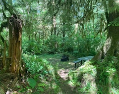 Khách sạn Primitive Tent Site In Enchanted Rain Forest - Site #1 (Forks, Hoa Kỳ)