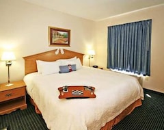Hotel Hampton Inn Ft. Chiswell-Max Meadows (Max Meadows, USA)