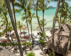 Beachfront Hotel La Palapa (Isla Holbox, Mexico)