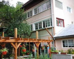 Guesthouse Cazare Casa Cristina (Buşteni, Romania)