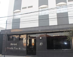 Khách sạn David Plaza Hotel (Osasco, Brazil)