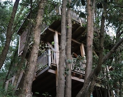 Bed & Breakfast Orion Treehouses (St.-Paul-de-Vence, Francuska)