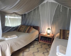 Hotel Kiboko Safaris (Mfuwe, Zambia)