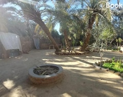 Kamp Alanı Forest Camp Siwa - Kmb Lgb@ (Siwa, Mısır)