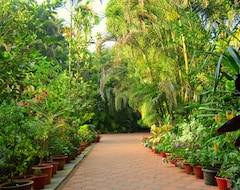 Hotel Palm Grove Cottages (Benaulim, Indien)