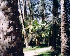 Hotel Yadis Oasis Tozeur (Tozeur, Tunus)