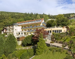 Khách sạn Wellnesshotel Rothfuss Mit Spa Und 2 Schwimmbadern (Bad Wildbad, Đức)