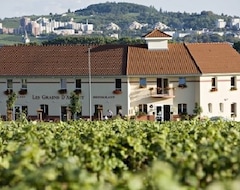Hotel Les Grains d'Argent (Dizy, France)