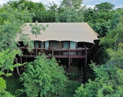 Khu cắm trại Kapama Buffalo Camp (Hoedspruit, Nam Phi)