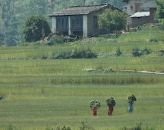 Hotelli Abbott Mount Cottage (Almora, Intia)