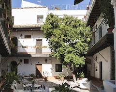 Hele huset/lejligheden Singular Corral de San Jose (Sevilla, Spanien)