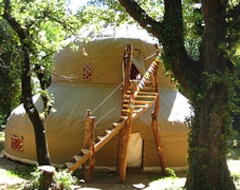 Kampiranje Camping Mille Etoiles (Labastide-de-Virac, Francuska)