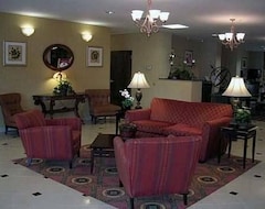 Otel Comfort Suites West Jacksonville (Jacksonville, ABD)
