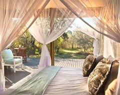 Oda ve Kahvaltı Ngama Tented Safari Lodge (Hoedspruit, Güney Afrika)