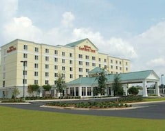 Hotel Hilton Garden Inn Meridian (Meridian, USA)