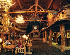 Hotel Great Wolf Lodge (Mason, USA)