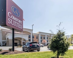 Khách sạn Hotel Comfort Suites Smyrna (Smyrna, Hoa Kỳ)