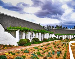 Rijk's Wine Estate and Hotel (Tulbagh, South Africa)