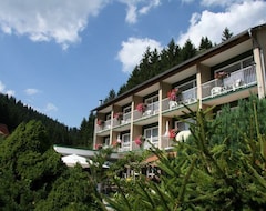 Hotelli Pension Harzperle (Wildemann, Saksa)