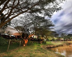 Khu cắm trại Mara River Lodge (Narok, Kenya)