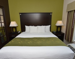 Hotel Comfort Suites Lake City (Lake City, USA)