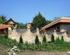 Hostel Hanul Lui Hanganu (Lalova, Moldova)