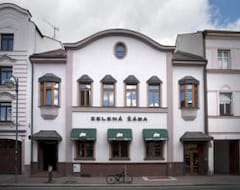 Otel Zelena Zaba (Pardubice, Çek Cumhuriyeti)