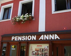 호텔 Anna (체스키크룸포드, 체코)