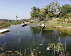 Tüm Ev/Apart Daire Great Villa With Gorgeous Eco Swimming Pool In Reguengo Do Fetal, Batalha (Sao Pedro, Portekiz)