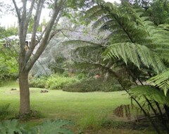 Entire House / Apartment Privacy, Style And Comfort (Kohukohu, New Zealand)