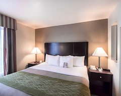 Hotel Comfort Inn & Suites Mansfield (Mansfield, USA)