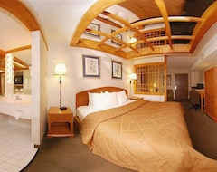 Hotel Comfort Inn & Suites (Johnstown, USA)