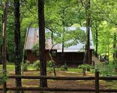 Casa/apartamento entero Rustic East Tennessee Mountain Cabin Overlooking Historic Coker Creek (Tellico Plains, EE. UU.)