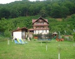 Toàn bộ căn nhà/căn hộ Casa Din Salcami (Polovragi, Romania)