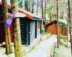 Otel Forest Lodge (Ağva, Türkiye)