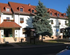 Hotelli Zur Tanne (Ballstedt, Saksa)