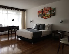 Hotel Regine's Manizales (Manizales, Colombia)