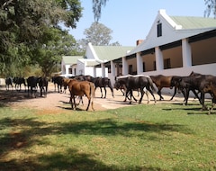 Casa rural Thandile Country Lodge (Bela Bela, Sudáfrica)