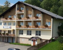 Toàn bộ căn nhà/căn hộ Zz Na Wolkerstorfer, Ferienwohnung (Haslach an der Mühl, Áo)