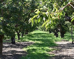 Toàn bộ căn nhà/căn hộ Stay On A Cherry Orchard In Wine Country (Zillah, Hoa Kỳ)
