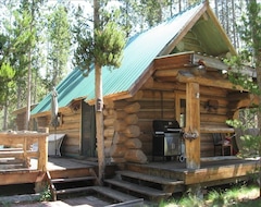 Entire House / Apartment Charming Log Cabin Located on the Salmon River Near Stanley (Stanley, USA)
