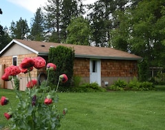 Hele huset/lejligheden Bright Spacious Garden Cottage 10 Mi. West Of Eugene. Fully Remodeled Sleeps 1-6 (Elmira, USA)