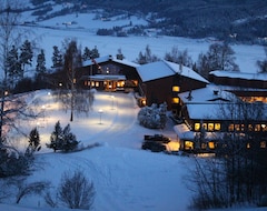 Honne Hotell (Biri, Norway)
