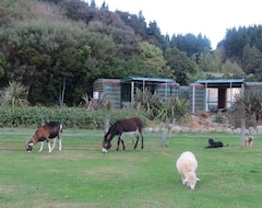Toàn bộ căn nhà/căn hộ Te Rakau Cabins - A Wildlife Haven And Retreat (Palliser, New Zealand)