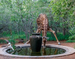 Hotelli Shikwari Nature Reserve (Hoedspruit, Etelä-Afrikka)